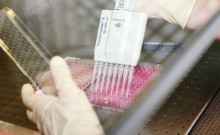 Custom Monoclonal Antibodies in Research